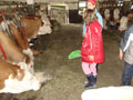 Bild-015